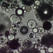 Микросфера силикатная толстостенная, фракция 20 мкм фотография