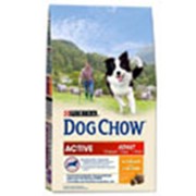 Корм для собак Dog Chow Active для взрослых активных собак фотография