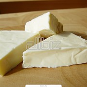 Сыр оптом фотография