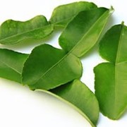 Листья лайма каффира Kaffir lime leaves