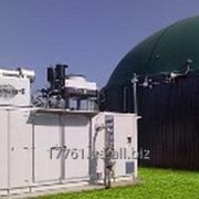 Когенерационные установки мини-ТЭЦ на биогазе фото