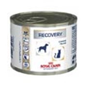 Корм для котов Royal Canin Recovery (интенсивная терапия) 195 гр фото