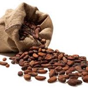 Какао-бобы фото