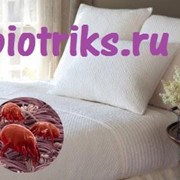 Уничтожение-обработка-выведение-травить клопов в Ногинске фотография