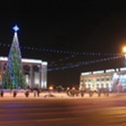 Тур детский “Новогодние елки Минска“ фото