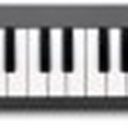 Midi клавиатура M-Audio KEYSTATION MINI 32 II фото