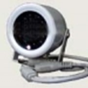 EW-10P уличная ч/б камера с ИК подсветкой, матрица 1/3` Sony CCD фото