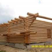 Сруб дома из круглого леса фото