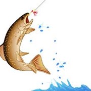 Рыбалка. Вашим уловом будет щука, карась, зеркальный карп, окунь или толстолобик. фотография