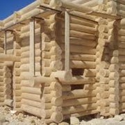 Строительство домов из дерева фотография