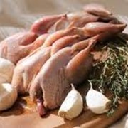 Мясо перепелиное в Украине, Купить, Цена фотография