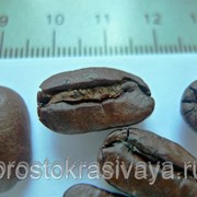 Кофе в зернах “Марагоджип Никарагуа“, 500 г, бесплатная доставка по России фото