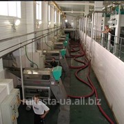 Управление проектами и строительство винодельческих заводов «под ключ» фото