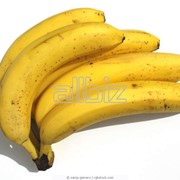 Бананы купить, цена фото