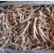 Frozen chicken feet (Grade A) фотография