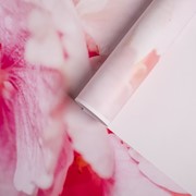 Фотообои 'Цветы гортензии', 200х140 см, 130 г/м