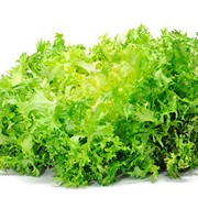 Салат-латук фризе. Чищенные вакуумированные овощи. Вакуумированные овощи свежие фото