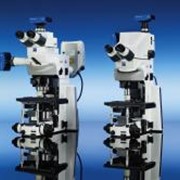 Микроскоп Axio Examiner для измерения интенсивности свечения в живых клетках фото