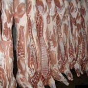 Свинина мясо охлажденка фото