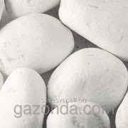 Камни декоративные Мраморная галька белая Каррара 150-300 мм фотография