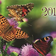 Календар кишеньковий Метелики фото