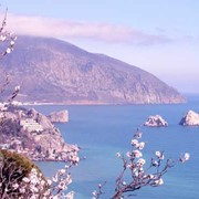 Отдых на море Крым