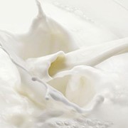 Продукты молочные сухие, Сливки сухие фотография