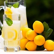 Домашний лимонад фотография