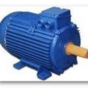 Электродвигатель общепромышленный от 750 об/мин до 3000 об/мин Модель 442 фото