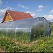 Теплицы,парники фото