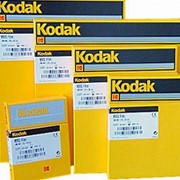 Рентгеновская пленка для общей рентгенологии синечувствительная Kodak 35х43 (15,05м²) фото