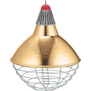 Защитный плафон для лампы INLPB300/14G-EU