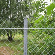 Сетка заборная для вьющихся растений. Сетка-рабица оцинкованная 40х40 (10х1.5м) от производителя Киев, Украина фото