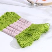 Нитки мулине, 8 ± 1 м, цвет травяной 907 (комплект из 6 шт.) фото