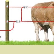 Электропастух для КРС коров крупно-рогатого скота