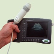 Сканеры ультразвуковые ветеринарные