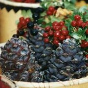 Переработка дикоросов фото