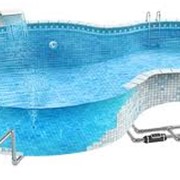 Контроль и поддержание качества воды в бассейне фото