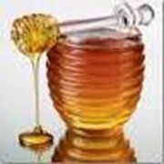 Мёд из степного разнотравья фотография
