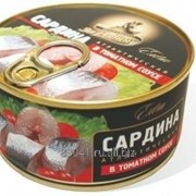 Консервы Cардина атлантическая в томатном соусе, 185 грамм