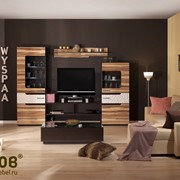 Мебель для гостиной WYSPAA фото
