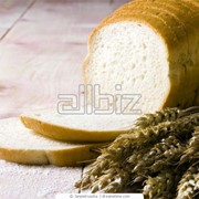 Хлеб пшеничный формовой в Алматы фотография