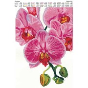 Схема вышивки бисером Орхидея фото