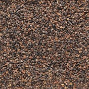 Гречиха фото