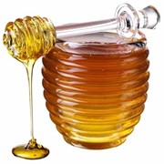 Покупаем мед натуральный, продукты пчеловодства, Export honey, bee products,Exportación miel, Productos de la apiculture. фотография