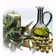 Оливковое масло первого отжима высшего качества от производителя. фото