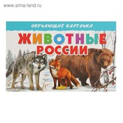Обучающие карточки «Животные России», 16 карточек фото
