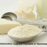 Сухой Сырный продукт Эстамол заменяет Обезжиренный и Твердый Сыр. фото