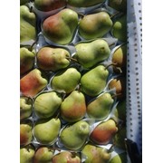 Груши фото