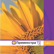 Гербицид Примекстра TZ Голд 500 SC, к.с. (Syngenta)